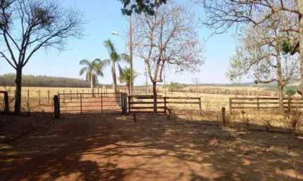 Fazenda à venda, ÁREA RURAL DE UBERLÂNDIA - Uberlândia/MG