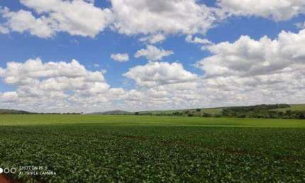 Fazenda à venda, Area rural de catalao - CATALAO/GO