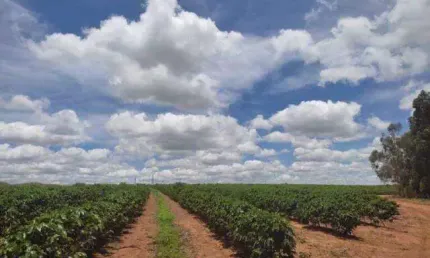 Chácara / sítio à venda na Faz Araxa, Área Rural de Araxá, Araxá