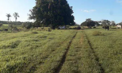 Chácara / sítio com 1 quarto à venda na Faz Fazenda Em Campina Verde, Zona Rural, Campina Verde