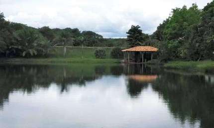 Fazenda à venda, Area rural de bom despacho - BOM DESPACHO/MG