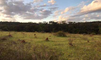 Fazenda à venda, Area rural de ituiutaba - ITUIUTABA/MG