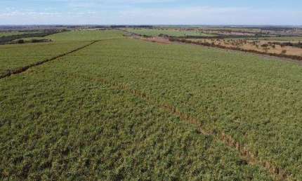 Fazenda à venda, Área Rural de Conceição das Alagoas - CONCEICAO DAS ALAGOAS/MG