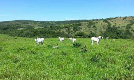 Fazenda à venda, Area rural de corumbaiba - CORUMBAIBA/GO