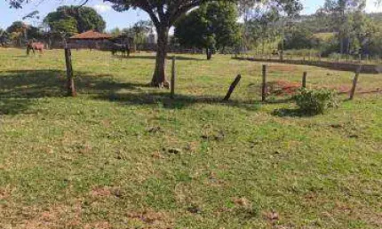 Fazenda à venda, Area rural de Gurinhata - GURINHATA/MG