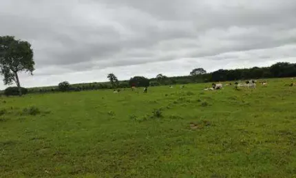Chácara / sítio à venda na Rua Município Do Prata, Zona Rural, Prata