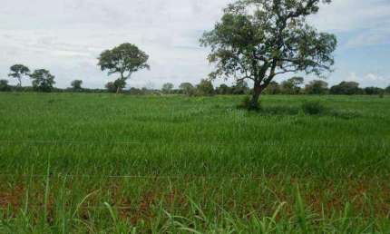 Fazenda à venda, Area Rural de Porangatu - Porangatu/GO