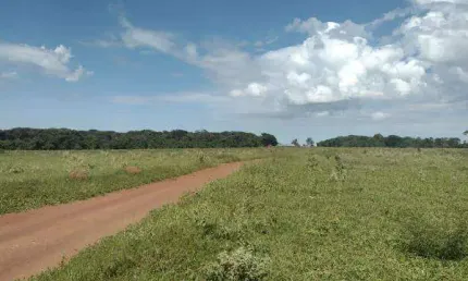Fazenda à venda, Area rural de Martinesia - MARTINESIA/MG