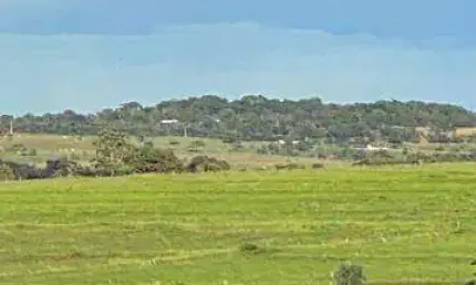 Fazenda à venda, área rural de monte alegre - monte alegre de minas/mg