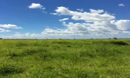 Fazenda à venda, 4 quartos, 1 suíte, CENTRO - BARRA DO GARCAS/MT