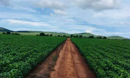Fazenda à venda, 3 quartos, ÁREA RURAL DE UBERLÂNDIA - Uberlândia/MG
