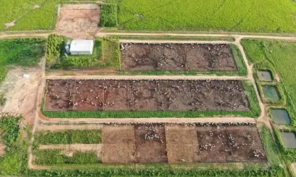 Excelente fazenda para pecuária na região de Comodóro-MT divisa com Rondônia.