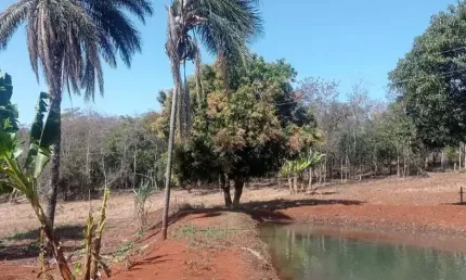 Chácara / sítio à venda na Alameda Doze, Sibipiruna, Araguari