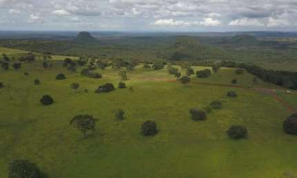 Fazenda em Pecuária em Chapadão do Céu - GO: Ótima Oportunidade!