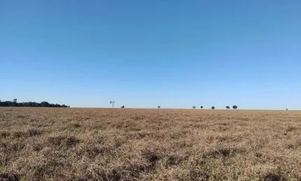 Fazenda de pecuária com aptidão para lavoura em Paraíso das Águas - MS