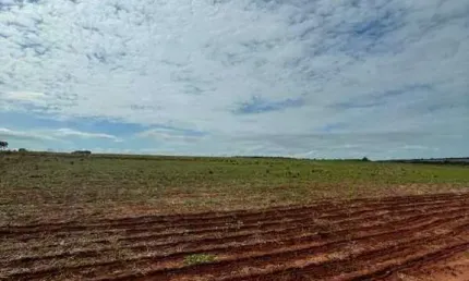 Fazenda de Dupla Aptidão em Ituiutaba-Mg com 2.807 Hectares de Puro Potencial