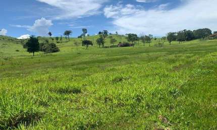 Chácara / sítio à venda na Avenida Minas Gerais, Centro, Araguari