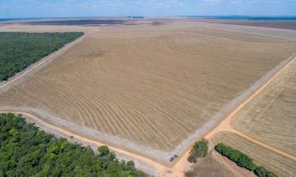 Chácara / sítio à venda na Avenida General Vale, Poção, Cuiabá