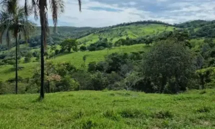 Chácara / sítio com 8 quartos à venda na Avenida 85, Setor Bueno, Goiânia