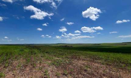 Fazenda Espetacular em Cristalina, GO - 1132 Hectares