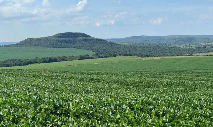 Fazenda excepcional entre Cristalina-GO e Paracatu-MG