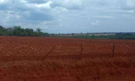 Oportunidade: Fazenda dupla aptidão de 2.947,56 hectares em Flores de Goiás