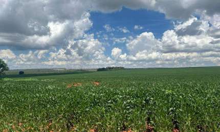 Fazenda de 1.714 hectares em Ocidental-GO próxima a Luziânia