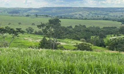 Chácara / sítio com 1 quarto à venda na Área Rural, Área Rural de Catalão, Catalão