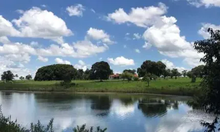 Fazenda à venda, 4 quartos, 4 suítes, 3 vagas, Flor de Minas - GURINHATA/MG