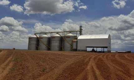 Fazenda com dupla aptidão a venda em São João d'aliança - GO, próximo a Formosa - GO