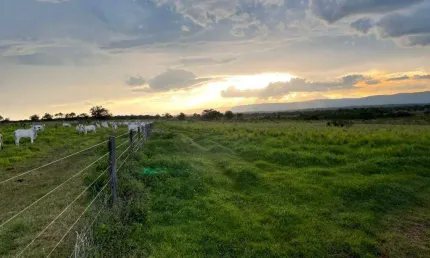Fazenda de dupla aptidão localizada no município de Flor de goias - Go próximo a Agua Fria - Go
