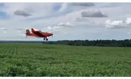 Excelente fazenda com dupla aptidão a venda na região do Tocantins - TO