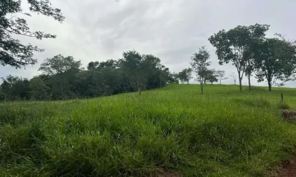 Fazendinha a venda entre Araguari e trevo de Indianópolis - MG