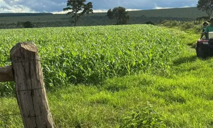 Grande fazenda a venda na área rural de Brasilândia de Minas - MG
