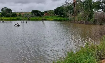 Fazenda de dupla aptidao a venda na área rural do município de Lagamar de Patos - MG, Próximo a Coromandel - MG