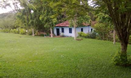 Grande fazenda a venda na área rural do município de catalão - GO.