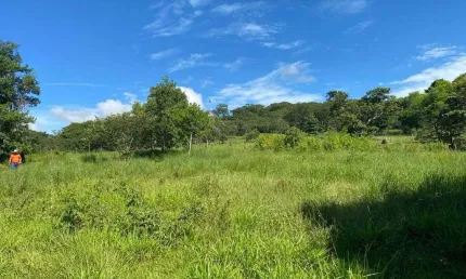 Fazenda à venda, AREA RURAL DE ARAGUARI - Araguari/MG