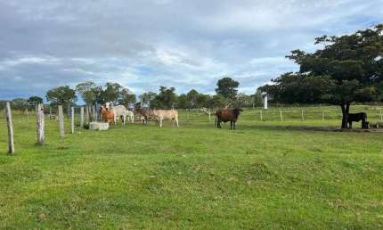Fazenda à venda, Área Rural de Niquelândia - Niquelândia/GO