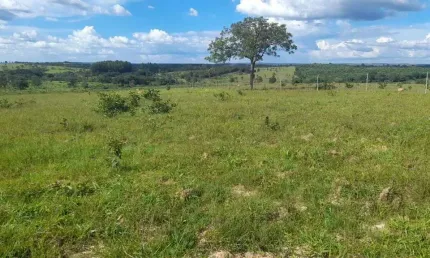 Fazenda à venda, AREA RURAL PRESIDENTE OLEGARIO MG - PRESIDENTE OLEGARIO/MG