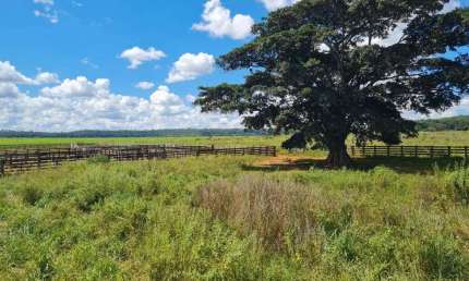 Fazenda à venda, Área Rural de Paranaiguara - PARANAIGUARA/GO