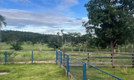 Fazenda à venda, Area rural de Gurinhata - GURINHATA/MG