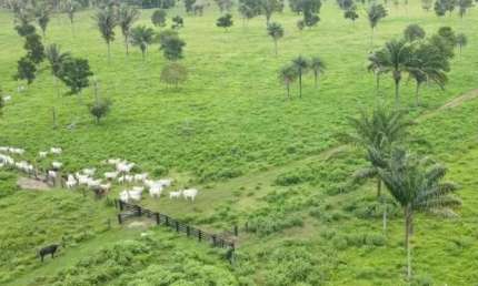 Fazenda à venda, AREA RURAL DE ARAGUAINA - TO - ARAGUAINA/TO