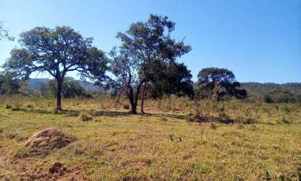 Fazenda à venda, AREA RURAL MARZAGAO - GO - Marzagão/GO