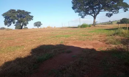 Fazenda à venda, área rural de uberlândia - uberlândia/mg