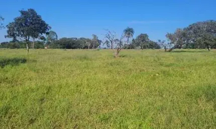 Fazenda à venda, ÁREA RURAL DE UBERLÂNDIA - Uberlândia/MG