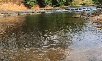 Fazenda à venda, Área Rural de João Pinheiro - João Pinheiro/MG