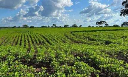 Fazenda à venda, AREA RURAL DE PARAISO DO TOCANTINS -TO - Paraíso do Tocantins/TO