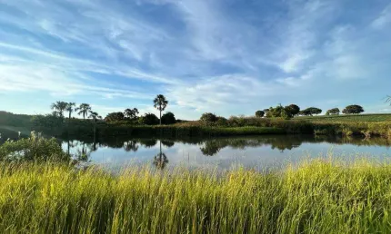 Fazenda à venda, área rural de uberlândia - uberlândia/mg