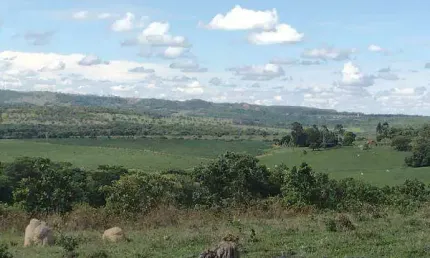 Fazenda à venda, 2 quartos, ÁREA RURAL DE UBERLÂNDIA - Uberlândia/MG