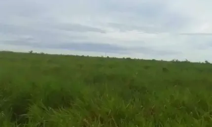 Fazenda à venda, ARERA RURAL DE CENTENARIO - TO - Centenário/TO